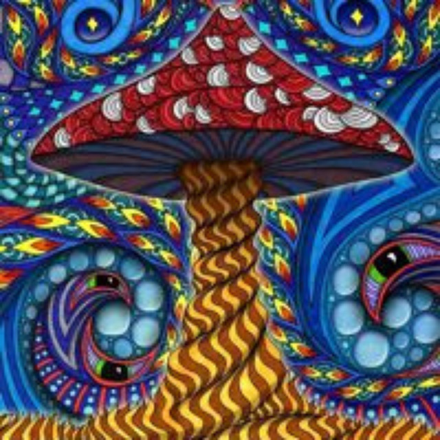 Chronic Wizard