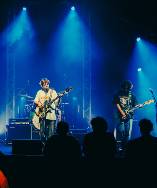 Headnoise
