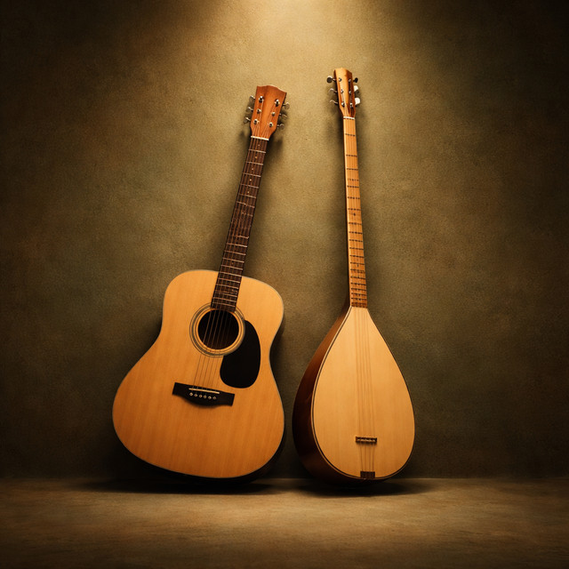 Anatolian Vocal House