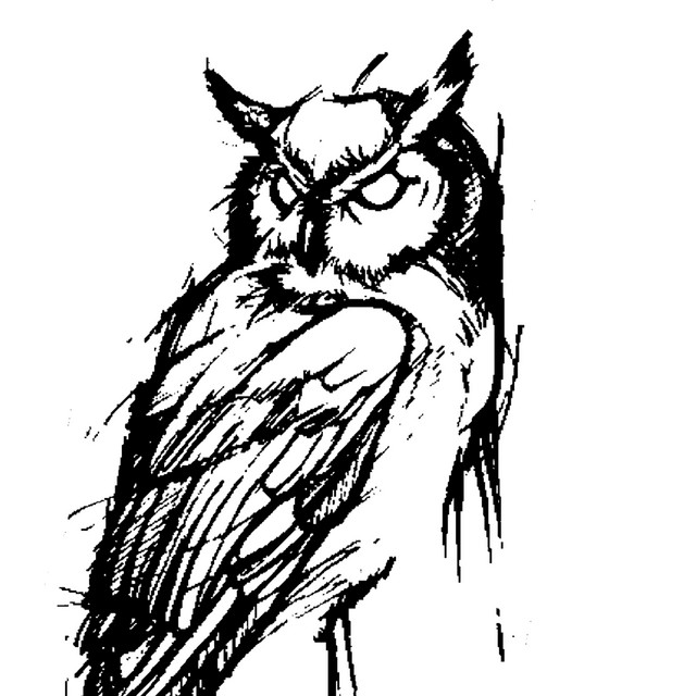 White Owl
