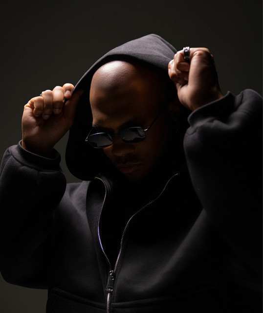 Artistnameleon