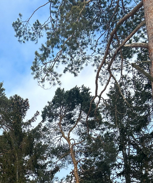 MyloG