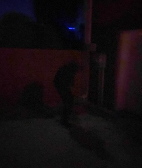 Duulic