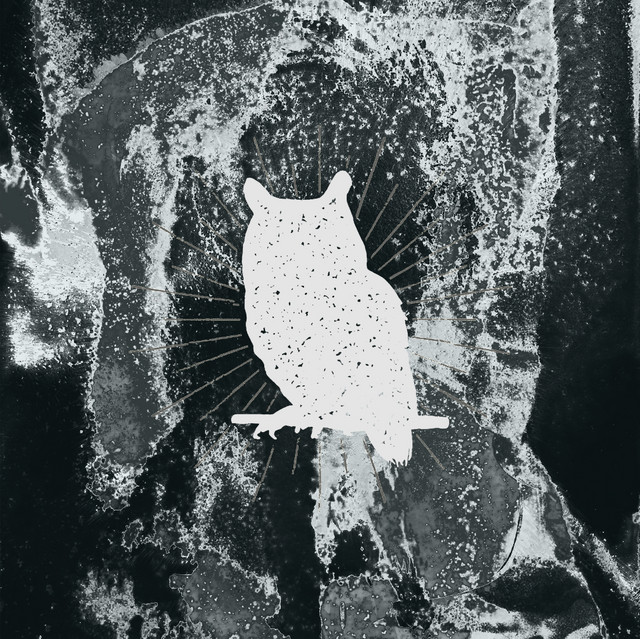Buho