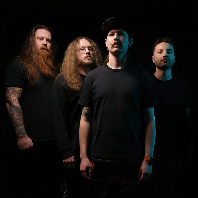 Display of Decay image