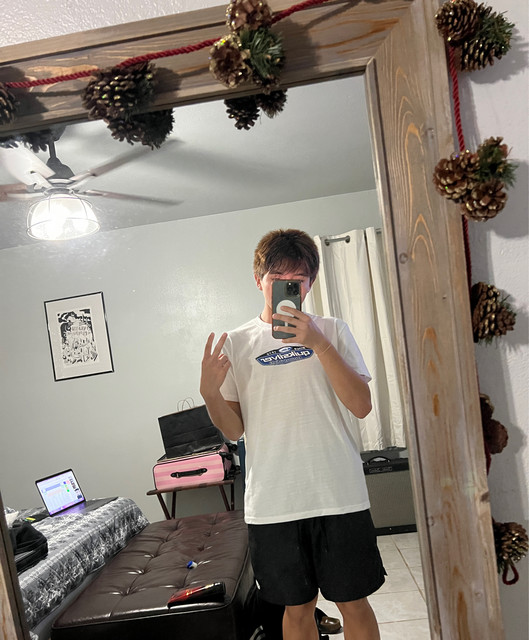 Mike$tem