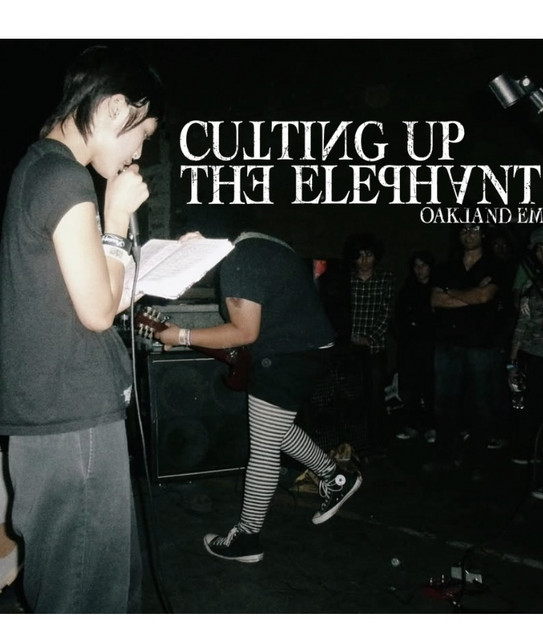 cutting up the elephant