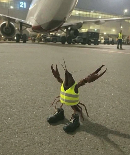 White Dragon King Crown