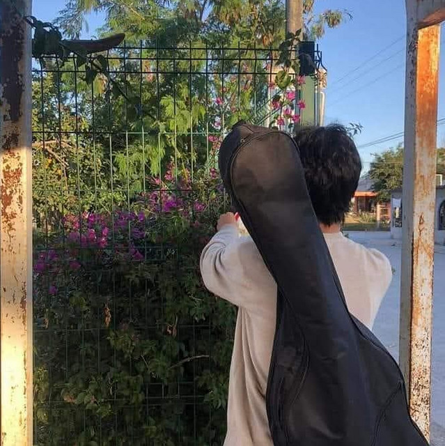 Alejandro por qué lo hiciste
