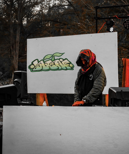 Lleaf artist photo