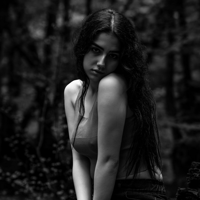 abella bronte