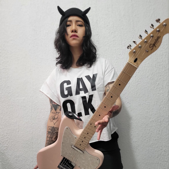 ANA HAVOK
