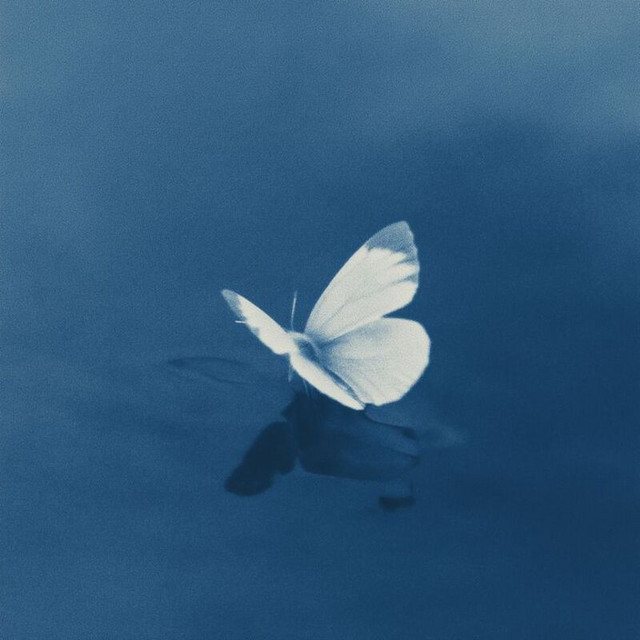 BlndWave