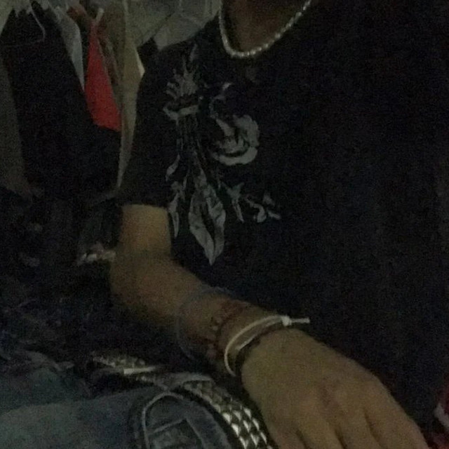 plugib