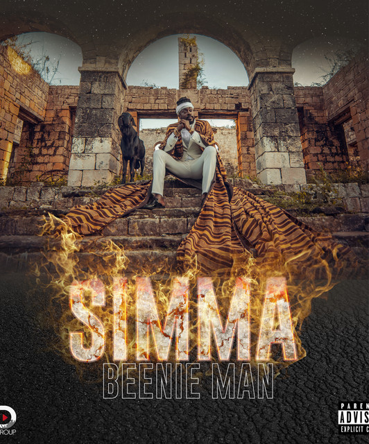 Beenie Man image