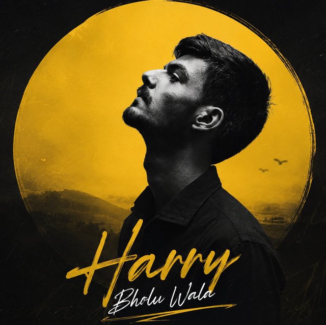 Harry Bholu Wala