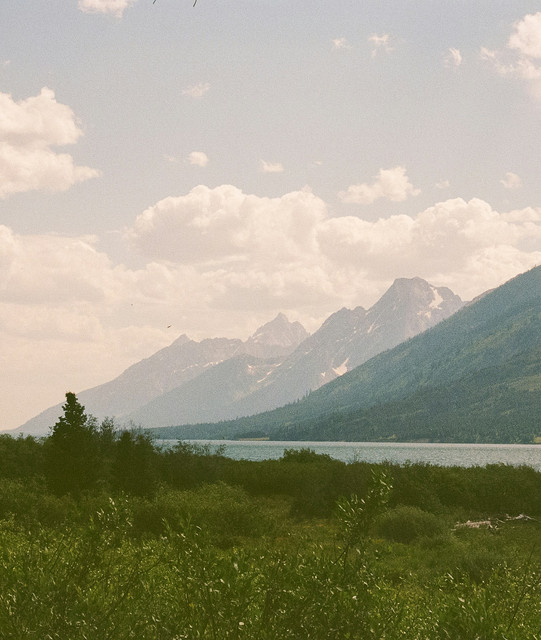 meadows
