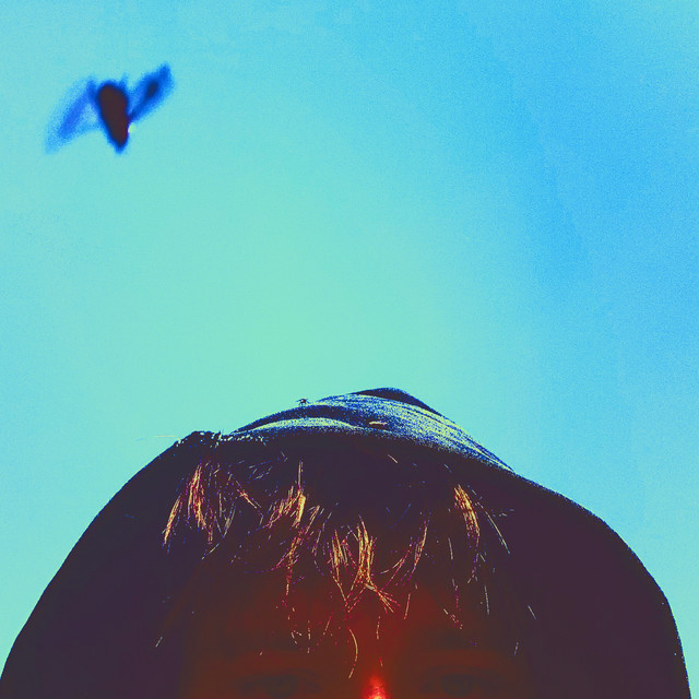 Drew | Spotify