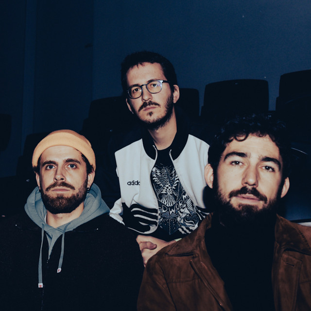 Mad Foxes photo