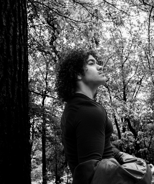 Taha Ghazipour