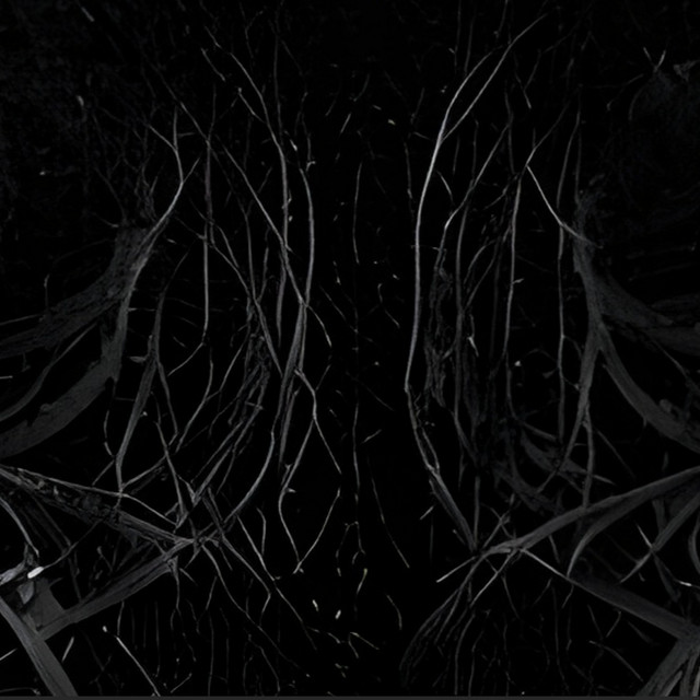 DISTORT