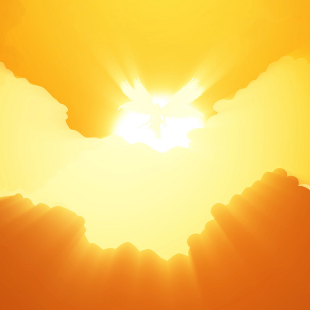 Wings of time
