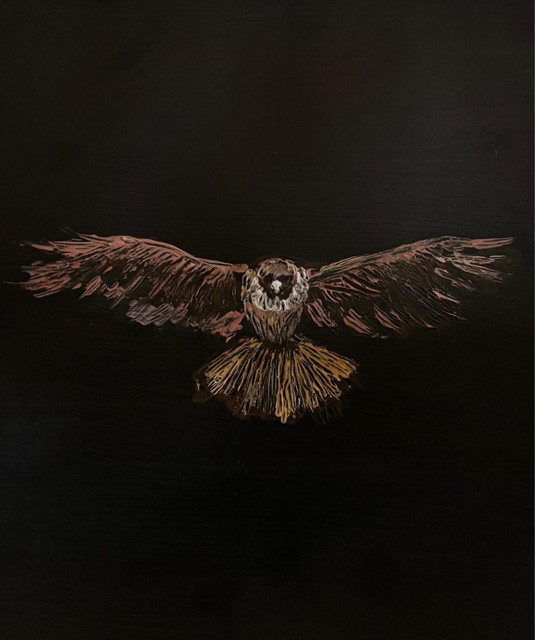 TENDERHAWK