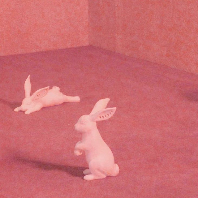 bunni below