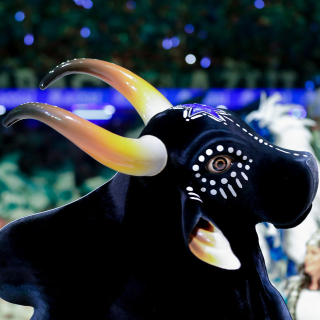 Boi Bumbá Caprichoso image