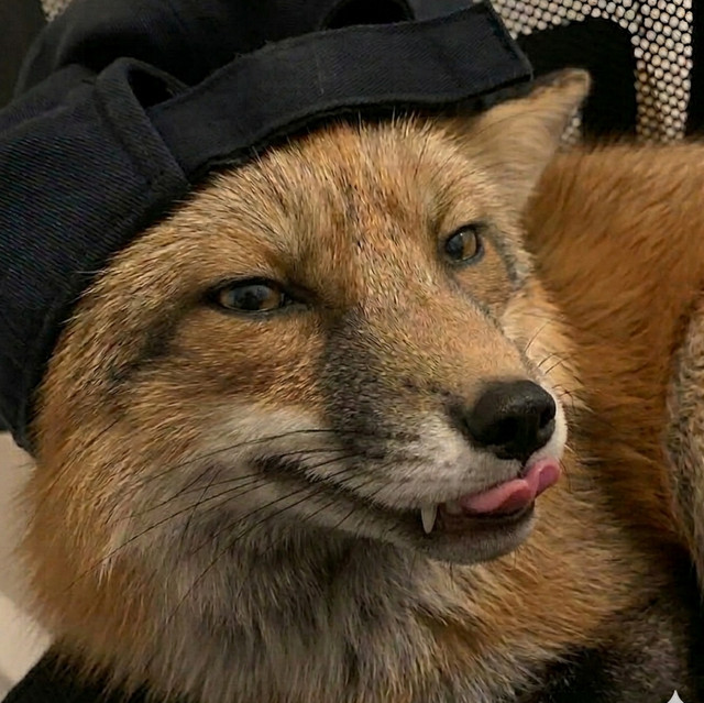 WXZEX