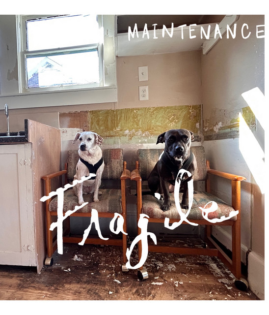 Maintenance