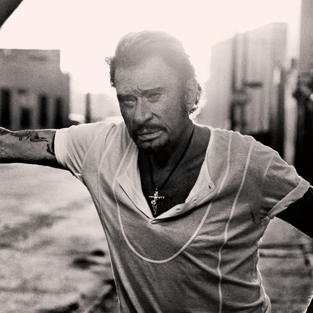 Johnny Hallyday image