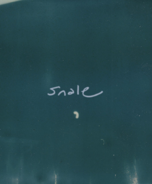 Snale / GVTH DVDDY