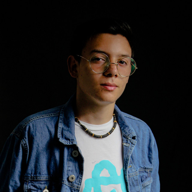 SanelliX image