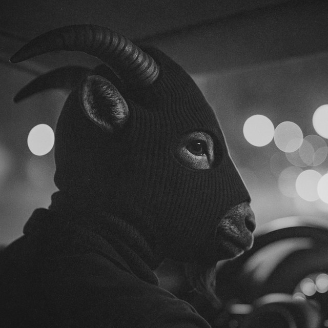 Miles Quiet