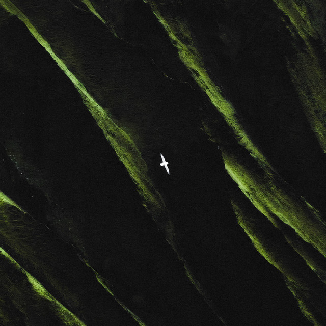 pxlse.