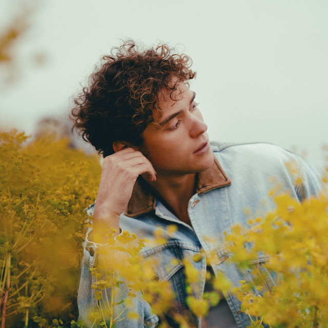 Joshua Bassett image