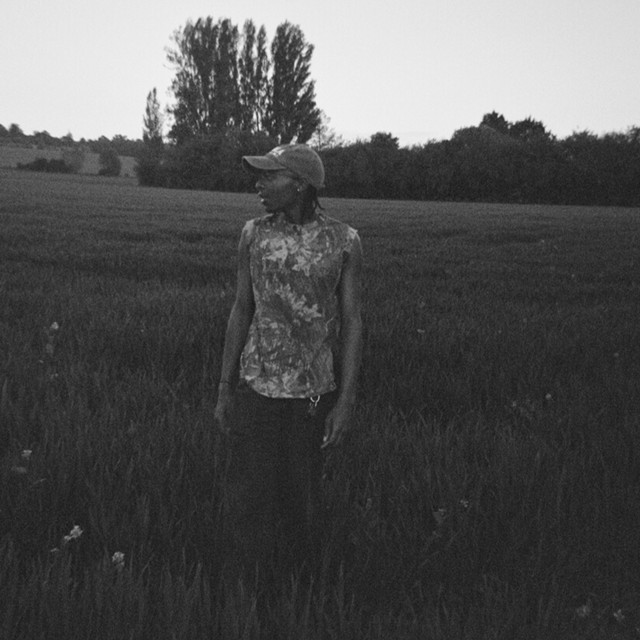Lingani | Spotify