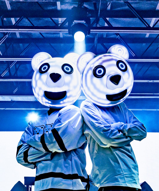 Electric Polar Bears