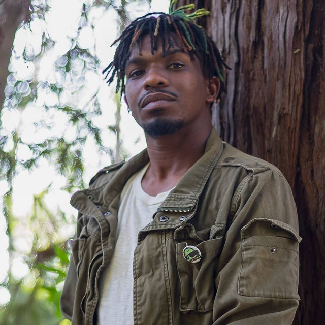 Dedi Tree | Spotify