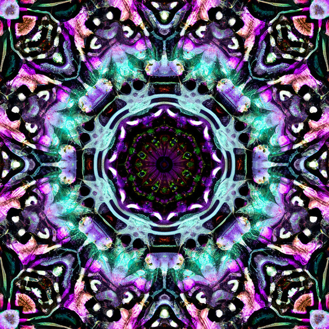 Universal Portal