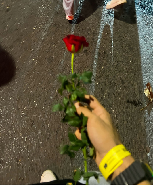 Rose Brky