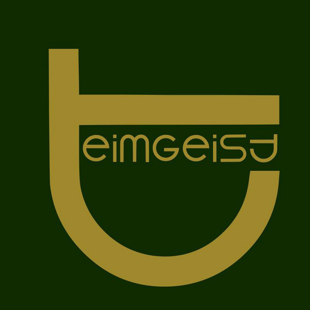 Teimgeist