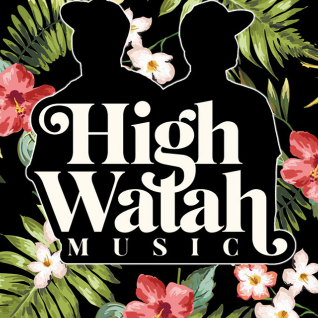 High Water Marks Concert & Tour History | Concert Archives