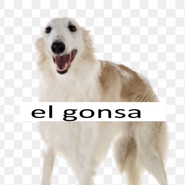 Los Borzoi