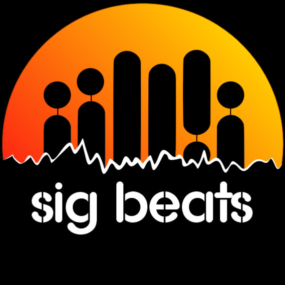sig.beats image