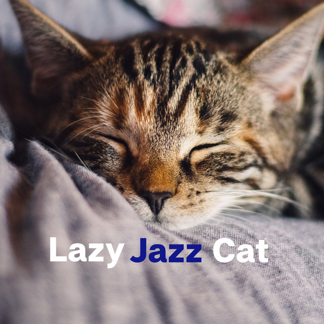 Lazy Jazz Cat