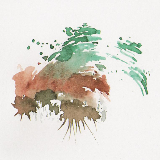 Spark the Forest