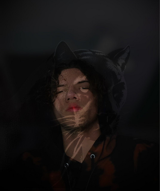 Addo | Spotify