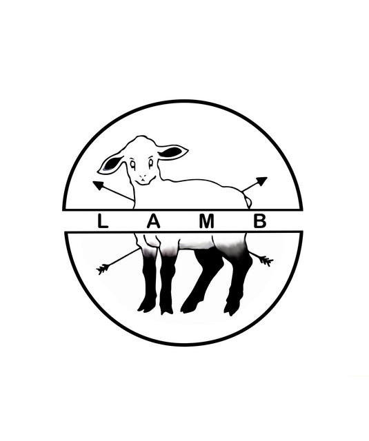 LAMB